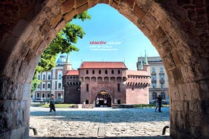 南亞文化的特點(diǎn)？