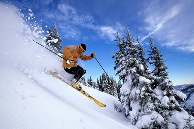 1月份推薦一個國內(nèi)旅游的地方