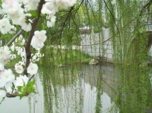 清明節(jié)習(xí)俗?